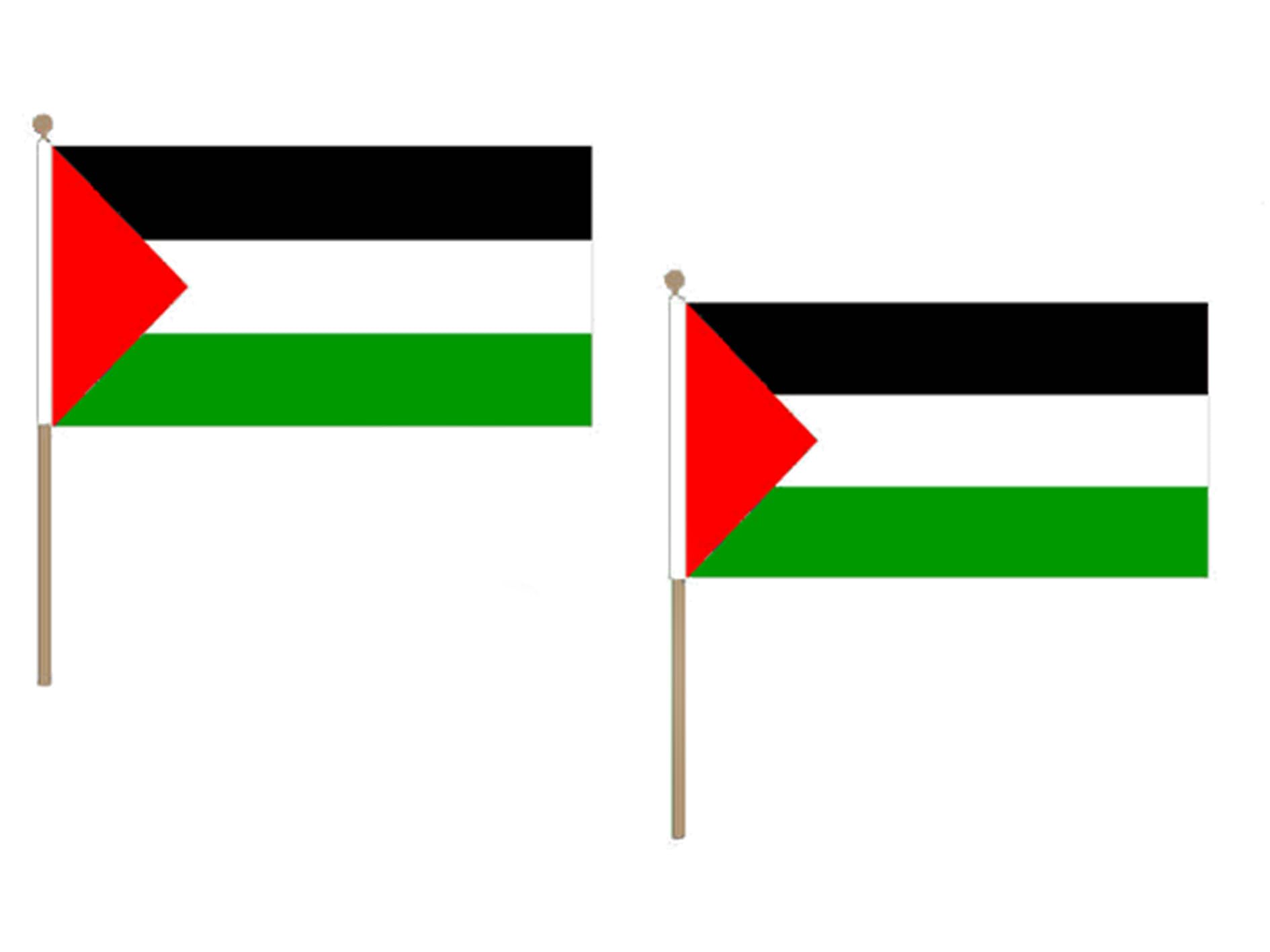 Drapeau palestinien 30 x 45 cm avec support bois pour équiper facilement un cortège de défilé
