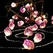 BOHON Decorative Lights Plus Amethyst LED String Lights Battery Operated with Remote 10 ft 30 LEDs Natural Crystal String Lights for Bedroom Party Indoor Birthday Wedding Decor(Plus)