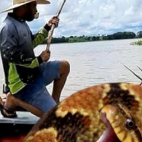 Caboclo foi picado por uma Cobra na Pescaria e o Susto foi grande