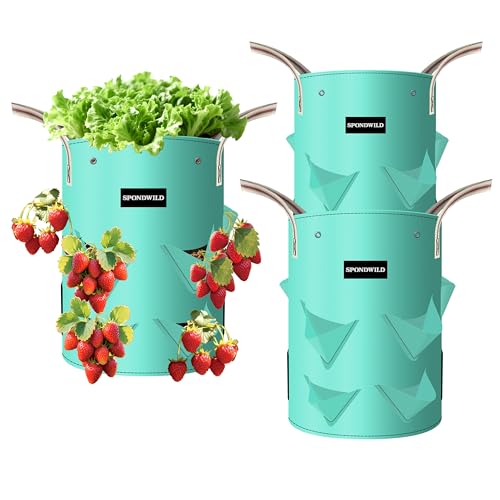 SPONDWILD 3-Pack 10G Strawberry Grow Bags with Drainage