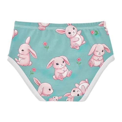 Panties for Girls, Cute Pink Rabbits Ears Teal Toddler Panties, Cotton Underwear Girls, 2T–8 Years2