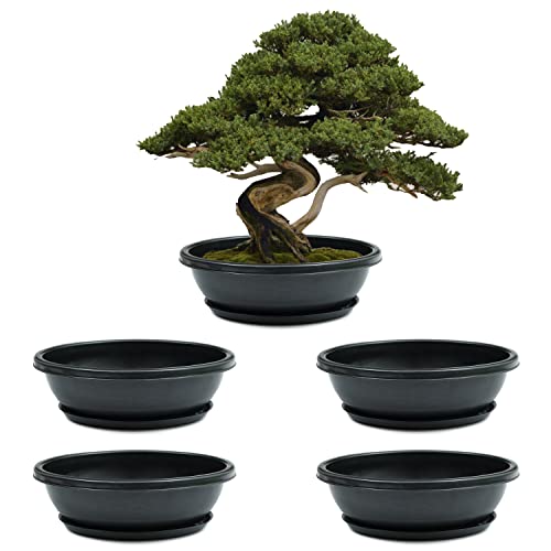 Livzing 15inch Pack of 5 Bonsai Flower Pot with Tray - Virgin Planter Pots with Drain Holes – Indoor Outdoor Balcony Gardening Pots - Oval Shaped Grow Pots for Plants - Black