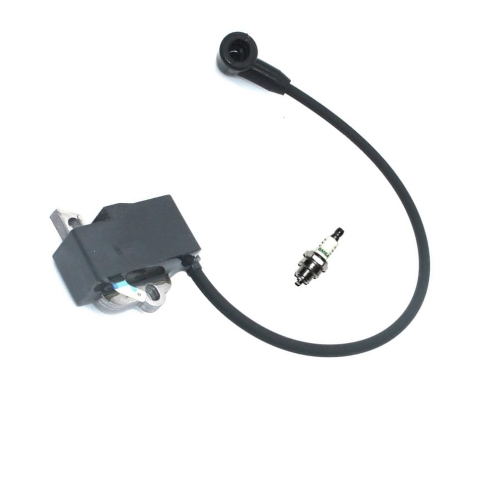 Bobine d'allumage MS391 avec bougie BM6A pour un démarrage instantané