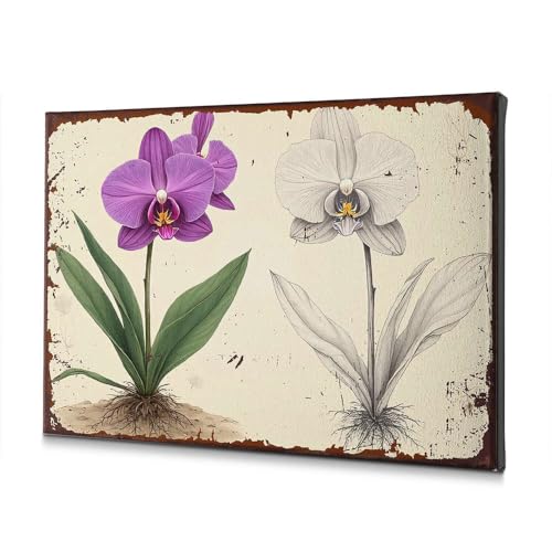Tableau orchidée de Pâques violet haut de gamme châssis bois 40x60