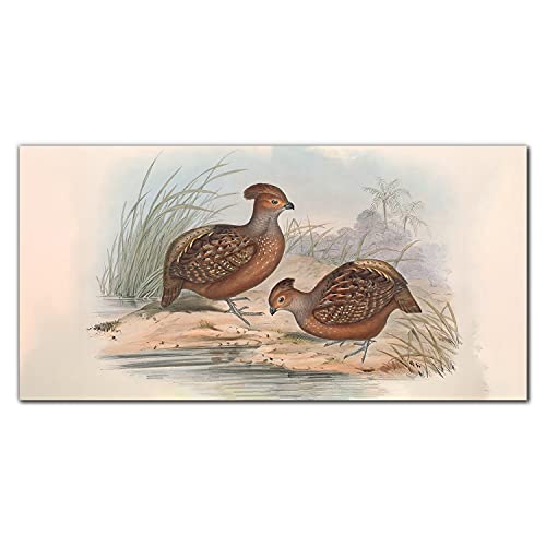 Impression sur verre Animaux d'oiseaux Coloray 100x50cm pour une décoration murale moderne
