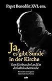  Ja, es gibt Sünde in der Kirche: Zum Missbrauchsskandal in der katholischen Kirche