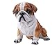 YANRUI Bulldogkulptur, englische Bulldogge Statue Gartenharz Harz Handgemalte Puppe Kollektion Handwerk Geschenk Statuette Home Office Display Dekoration