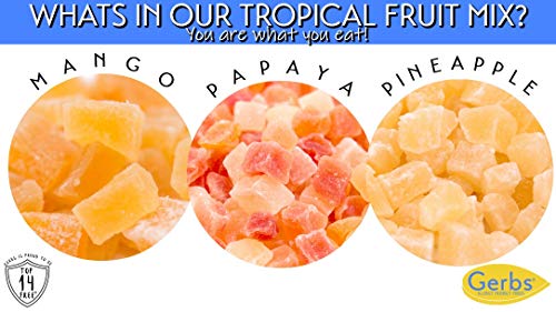 image for GERBS Dried Tropical Fruit Snack Mix, 32 ounce Bag, Unsulfured, Preser