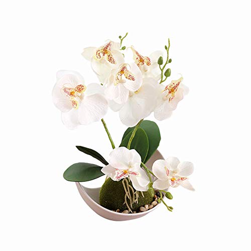 Meideli Artificial Orchids With Vase Plastic Phalaenopsis Orchid Flower Plant Pot Faux Flowers Arrangement For Home Kitchen Table Centerpiece Decor (White) #TOP22