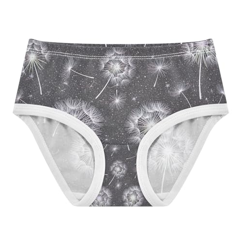 Toddler Briefs, Delicate Girls Cotton Underwear, 2T–8 Years