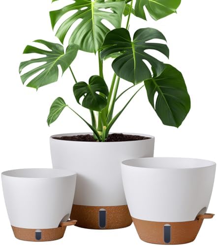 montresor 12/10/8 Inch Self Watering Pots for Indoor Plants Plast...