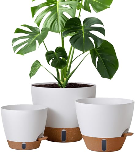 montresor 12/10/8 Inch Self Watering Pots for Indoor Plants Plastic Large Pot for Outdoor Plants, Water Level Window & Spacious Reservoir Flower Pots Decorative Planter with Drainage and Tray (White)