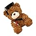jojofuny Mini Standing Laurea Bear FAI DA TE Bouquet Mini Orso Doll Cerimonia Bambola Bambola Bouquet Bouquet Decorazioni per Inizio Adorabile Orso Laureati Brown