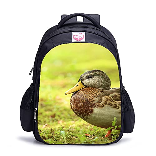 Sac à dos Duck Teen de loisirs idéal pour le collège et les sorties