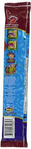 Jovy Fruit Roll, Raspberry, 0.75 Ounce (Pack Of 48) #TOP1