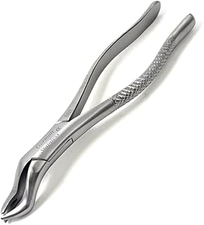 Dental Extracting Forceps #88R with Serrated Jaws for Molar Teeth Extraction Made of Stainless Steel with Knurled Handle for Firm Grip Professional Surgical Instruments by HTI