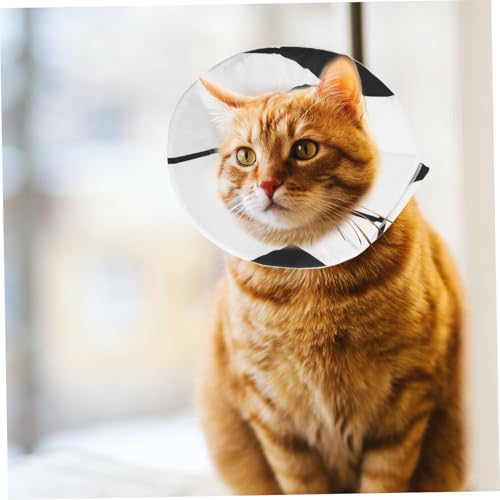 Collier pour chats et chiens réglable pour stérilisation et soin