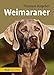 Produktbild Weimaraner