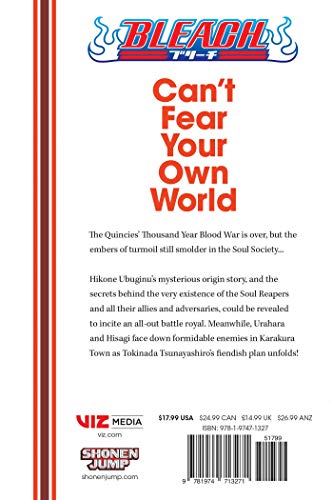 Image of Bleach: Can't Fear Your Own World, Vol. 2