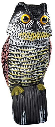 Preisvergleich Produktbild Gardigo Eule Vogelvertreiber Funktionsart Abschreckung 1St.
