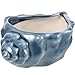 FOMIYES Seashell Planter Conch Shell Plant Pot Small Ceramic Succulent Pot Flower Container for Home Desktop Ornament