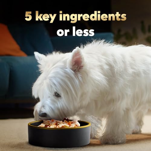 Image of Cesar Simply Crafted Dog Food Toppers, Chicken & Spinach, 1.3 oz, 10 Count | Real chicken #1 ingredient, 4 key ingredients, no by-products or artificial flavors, slow-cooked, single-serve tubs