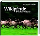 Dülmener Wildpferde: Freiheit auf vier Beinen