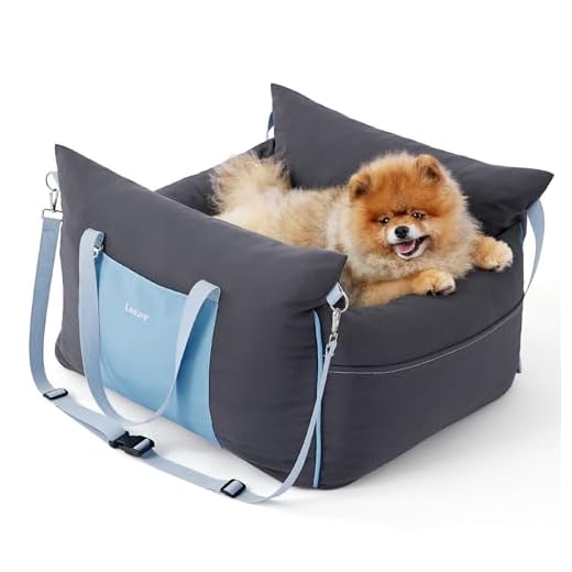 Lesure Hundesitz Auto kleine Hunde - wasserdichter und waschbarer Hunde Autositz mit Aufbewahrungstaschen, ansteckbarer Sicherheitsleine und verdickter Memory-Schaum-Füllung, 58x56x33cm, dunkelgrau
