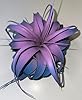 Tillandsia Xerographica Colorful Air Plant Enhanced Color Dyed Home Decor & Gift Easy Care Indoor Outdoor Airplant Awesome Industries (Twilight, 6 inch) #1