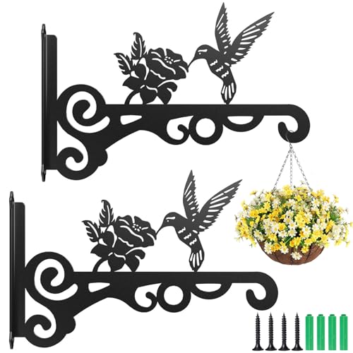 Vlecexs 2 Piezas Ganchos de Pared para Macetas Colgantes, 25 cm Soporte para Plantas, Gancho para Macetas con Tornillos, Soporte para Macetas Colgantes Exterior para Colgar Plantas Linterna Cesta