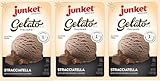 Junket Gelato Mix: Stracciatella (Vanilla Chocolate) Homemade Gelato Ice Cream Mix for Ice Cream Maker or Stir By Hand, Start to Finish in Minutes, 4 ounce box, Yields 1 quart Gelato (Pack of 3)
