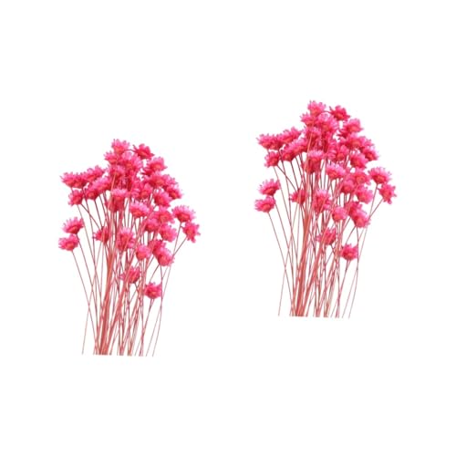 Cabilock Ramo de Flores Secas Brasileñas de Aspecto Natural 2 Juegos Hecho a Mano para Decoración del Hogar Centro de Mesa de Boda 50 Unidades