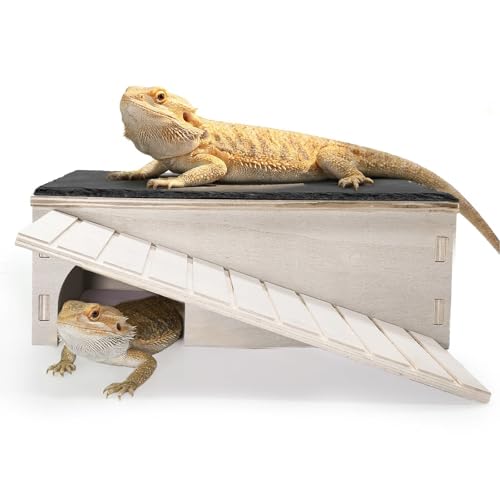 Gxsdj Large Bearded Dragon Basking Platform Wooden Reptile Hide Cave with Slate Rock Climbing Ramp Tank Accessories for Leopard Geckos Lizard Snake Tortoise