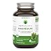Produktbild Bio Magnesium Kapseln im Glas  aus Meerlattich  337 mg rein pflanzliches Magnesium  ohne künstliche Zusätze  90 Kapseln