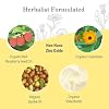 Earth Mama Tinted Mineral Sunscreen Lotion SPF 40-3 oz - Non-Nano Zinc - Broad Spectrum Tinted Sunscreen - Blends with Most Skin Tones