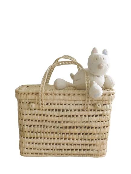Malle de Rangement en Feuilles de Palmier, Coffre à Jouet Osier, Malle Osier 45 cm