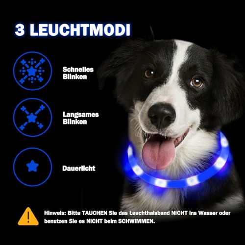 Nepfaivy Leuchthalsband Hund USB Aufladbar - Wasserdichtes Hundehalsband Leuchtend mit Verstellbarer Länge, LED Halsband für Hunde mit 3 Beleuchtungsmodi für Sicherheit, Blau