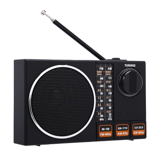Radio portátil Diyeeni FM AM SW compacto y liviano miniatura 1