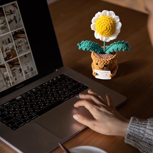 Madeliefjes Cadeaus voor Vrouwen en Mannen, Emotionele Steunplant Kerst Positieve Bloem Afscheid Beterschap Denk aan Je Dankjewel Geschenken voor Haar Moeder Juf Meisjes Vrienden Collega's - Afbeelding 5