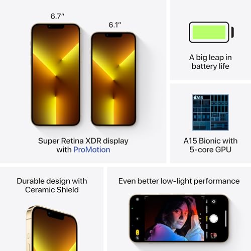 Image of Apple iPhone 13 Pro Max (1TB, Gold) [Locked] + Carrier Subscription