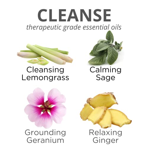 Cleansing Hemp Lemongrass Sage Aromatherapy Reed Diffusers | Therapeutic Grade Essential Oils | 10 Reed Diffuser Sticks And 4 Oz Bottle | Home Fragrance | Hand Made In The Usa #TOP1