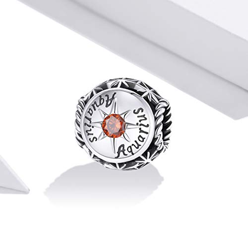 Image of 12 Constellation Charms 925 Sterling Silver Crystal Zircon Charms Family and Friends' Birthday Charm Birthstone Charms for Women Bracelets