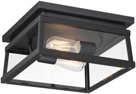 Minka Lavery 73217-66A Isla Vista Outdoor Flush Mount, 2-Light 120 Total Watts, Coal