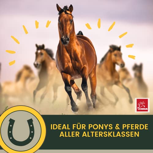 EMMA MSM Pferd Equi P 2x30ml Gelenk Booster für Pferde mit Glucosamin Chondroitin MSM Schwefel Vitamin C Bierhefe Pferd Hochdosiert & Gelenkkräuter Kurkuma Spirulina Weidenrinde Weihrauch für Gelenke