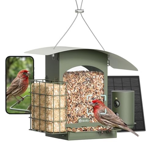 Birdfy Smart Bird Feeder with Camera Solar Powered 1080P Metal Hanging Bird Feeder with AI Bird Recognition Instant Alerts & Slow Motion Gift for Bird Lovers