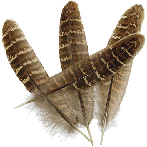 Natural Turkey Feather Luorng 20Pcs 5.9-7.9 Inches Natural Turkey Barred Feathers Crafts For Diy Crafts Making, Clothes Decoration, Family, Wedding, Birthday Party Decoration #TOP2