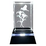 ASENTE 4 Ultra Bright LED Light Base Bundle with Hummingbird 3D Laser Etched Crystal Glass Picture -