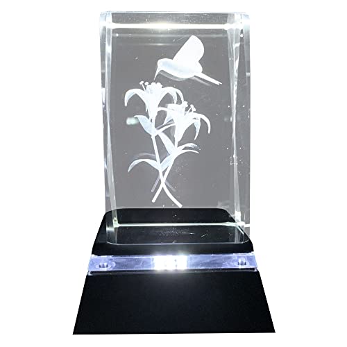 Asente 4 Ultra Bright Led Light Base Bundle With Hummingbird 3D Laser Etched Crystal Glass Picture - A Unique And Sentimental Gift For Collectors, Portable & Ultra Bight White Led Light #TOP14