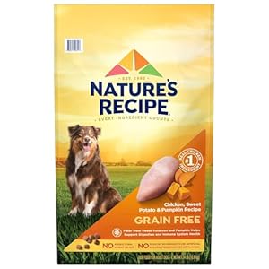 Nature’s Recipe Grain Free Chicken, Sweet Potato & Pumpkin Recipe Dry Dog Food, 24 lb. Bag