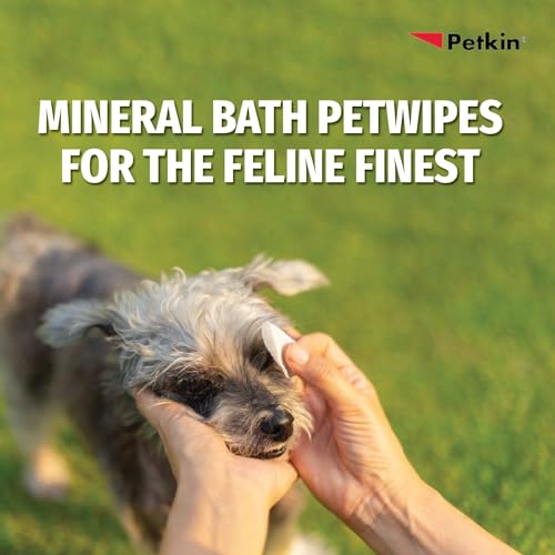 Image of Petkin Petwipes Big 'n Thick Extra Large Pet Wipes for Dogs and Cats Cleans Face, Ears, Body and Eye Area Super Convenient, Ideal for Home Or Travel-18 X 28 Cm | Big N Thick Mineral Wipes